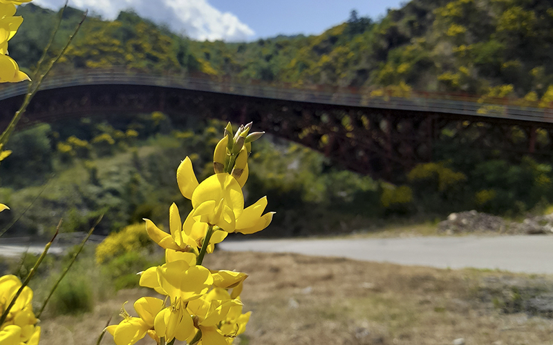 Ponte della pace a Terranova di Pollino