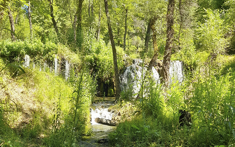 Terme Lucane di Latronico