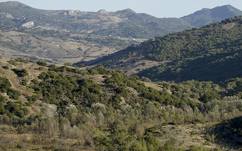 Valle del Sinni