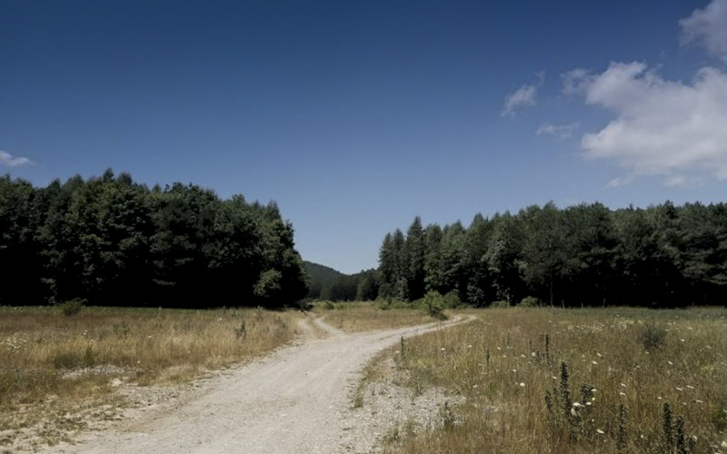 Bosco di Donna Calda