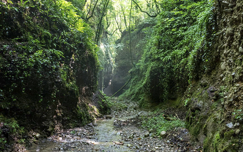 Bosco di Magrizzi-Cielagresti