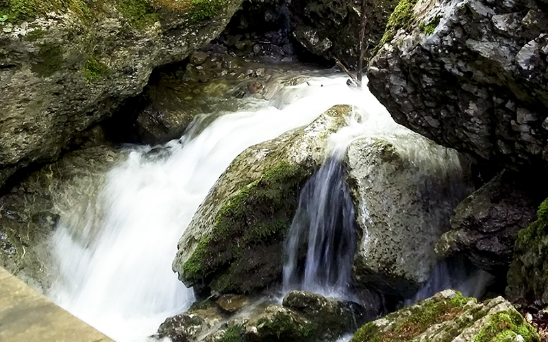 Bosco/fosso Iannace