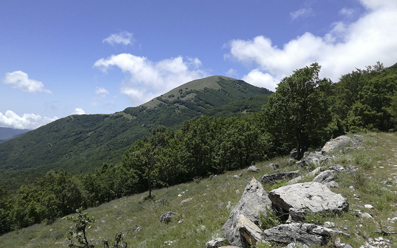 Escursione monte La Muletta Parco Pollino