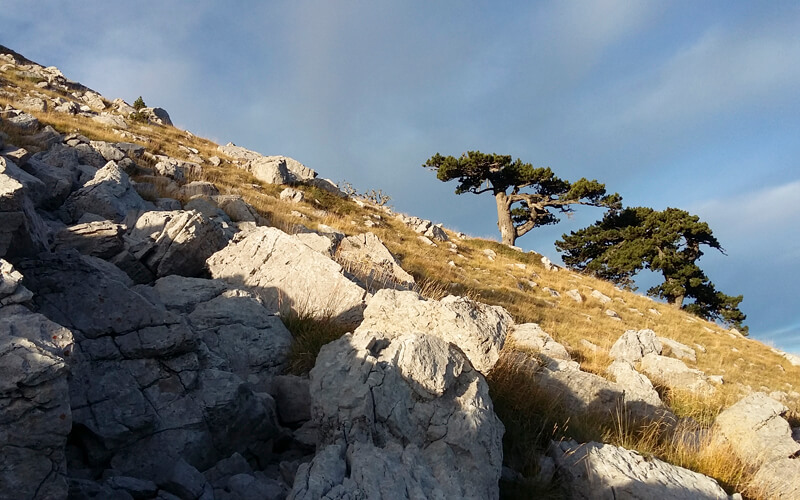 Escursione Cresta Nord del Pollino