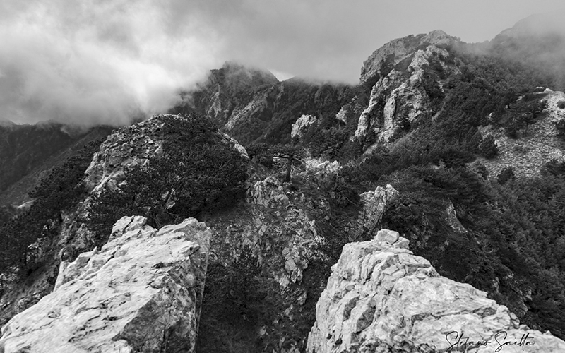 LA MONTEA, La Regina delle Montagne del Pollino