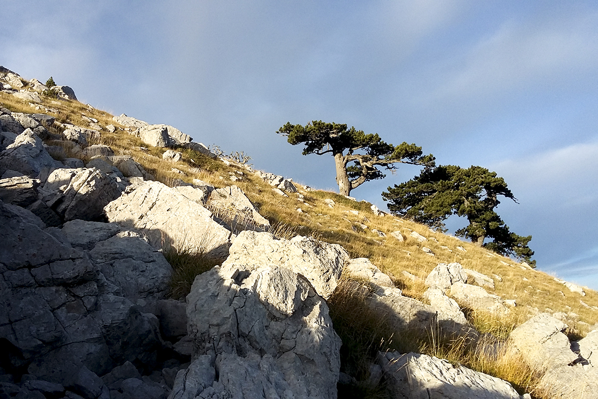 Escursioni Pollino