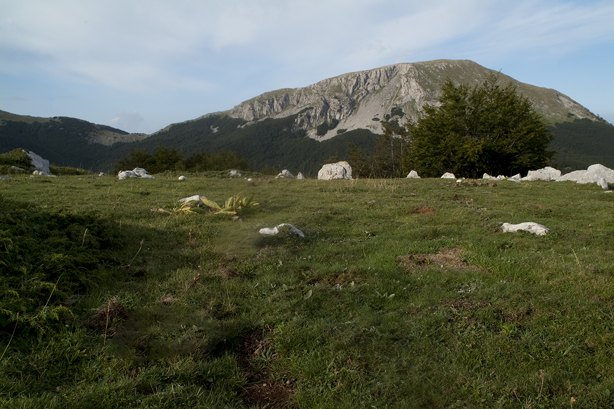 Escursioni Pollino