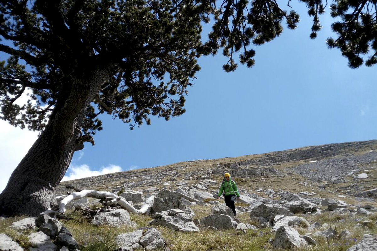 Escursioni Pollino