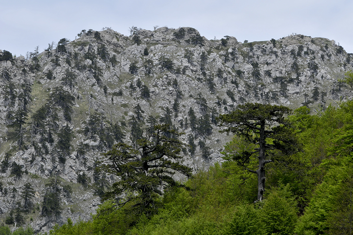 Escursioni Serra delle Ciavole