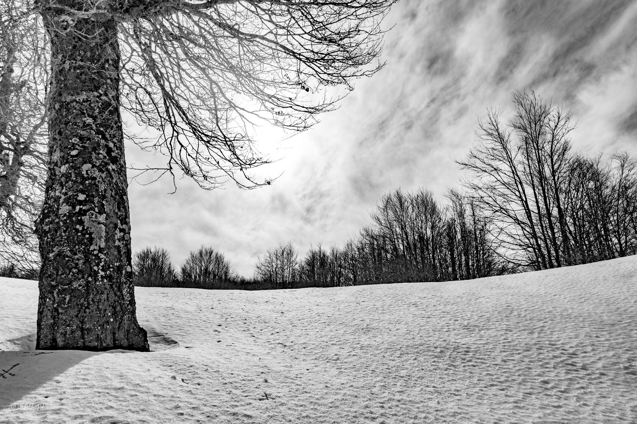 Escursione Serra di Crispo ©Egidio Antonio Conte