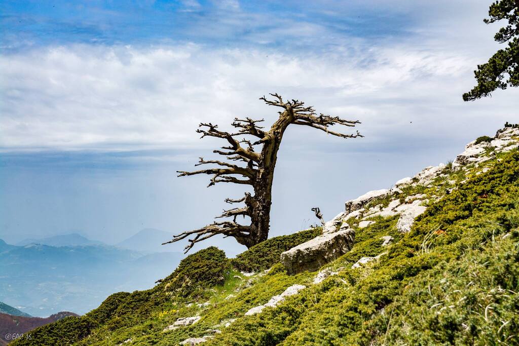 Escursione Serra di Crispo ©Egidio Antonio Conte