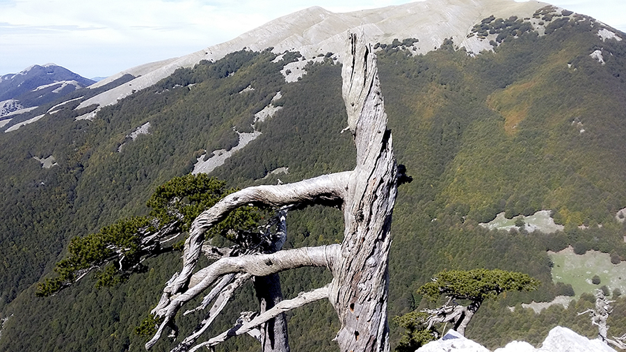 Escursioni Parco del Pollino