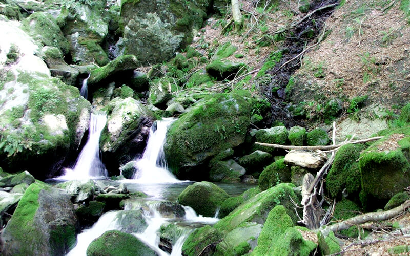 Altri fiumi e torrenti del Parco del Pollino