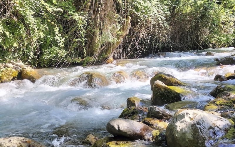 Fiume Argentino