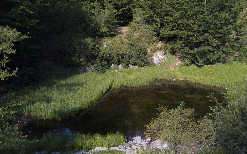 Lago Fondo