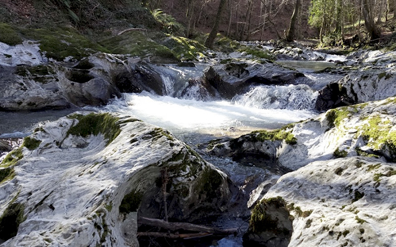 Torrente Peschiera