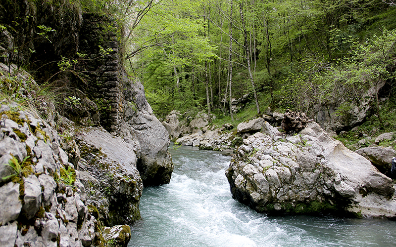 Riserva naturale Valle del Fiume Lao